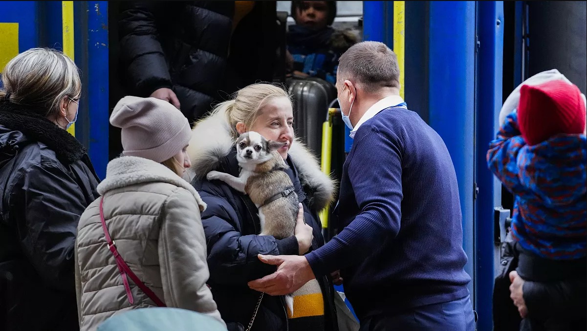 Многие украинцы хотят остаться в Польше. Фото: Евроньюс